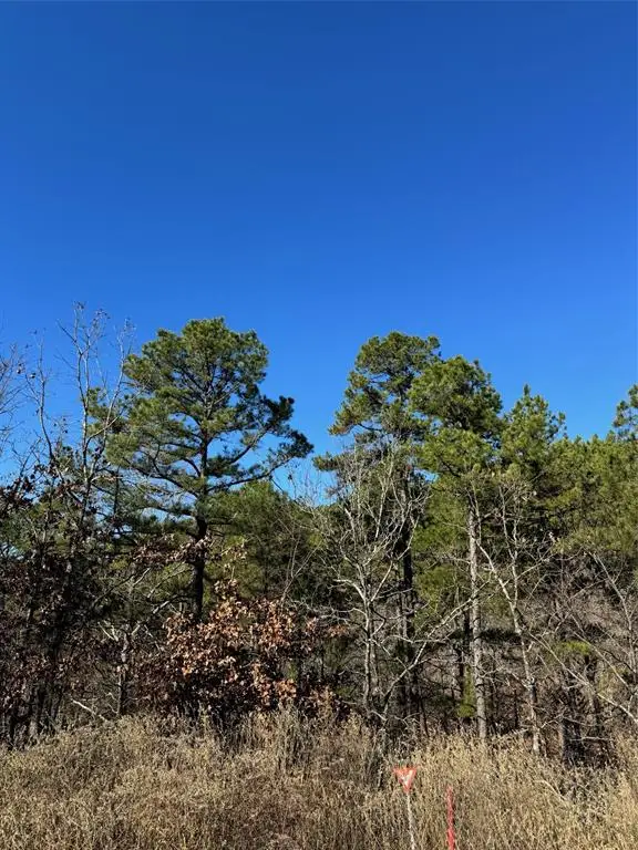 43 Western Maple Court, Broken Bow, OK 74728