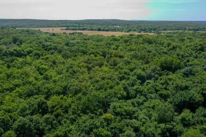 1679 Augustus Road, North Central Pittsburg, OK 74501 - Image #1