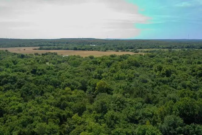 1679 Augustus Road, North Central Pittsburg, OK 74501 - Image #3