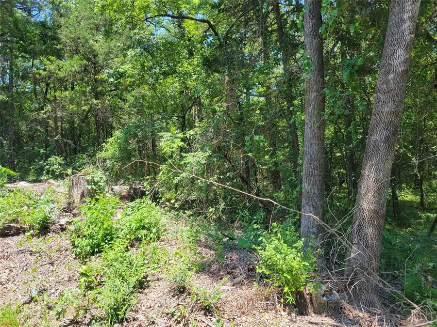 Alberta Creek Road, Kingston, OK 73439 - Image #3