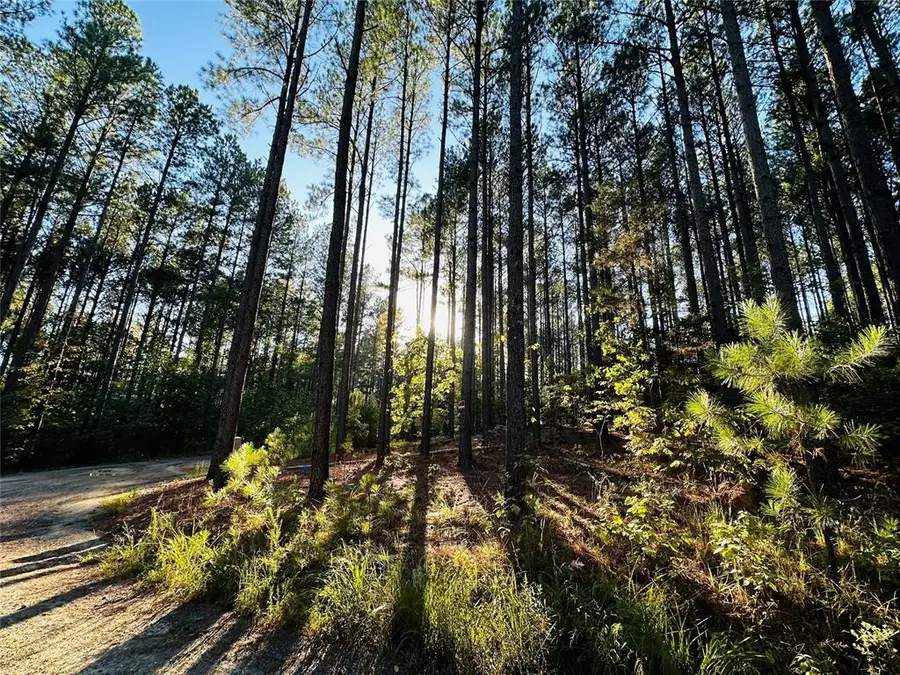 12 Pinehurst Road, Broken Bow, OK 74728 - Image #2