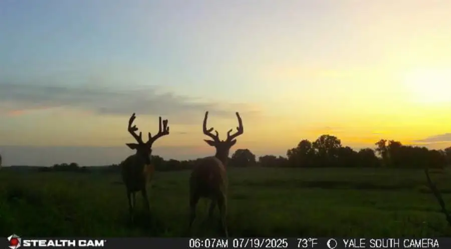 E 0670th #1 Road, Yale, OK 74085 - Image #3