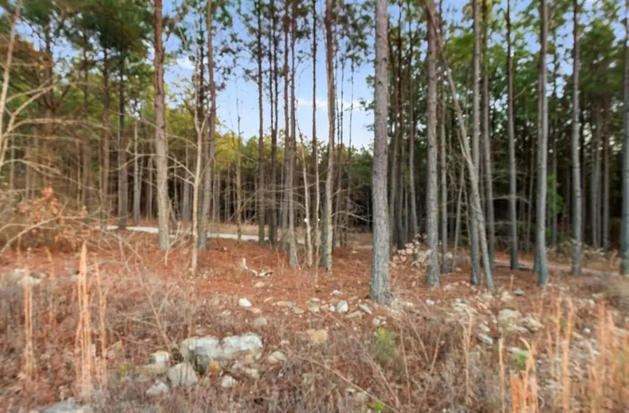 594 Timbuktu Trail, Broken Bow, OK 74728 - Image #3