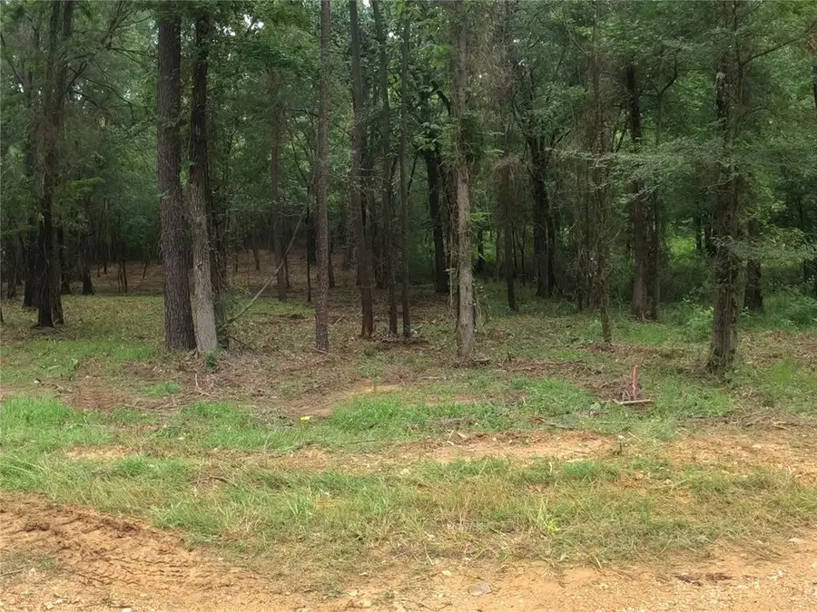 Fannie Mae Lot 1 Drive, Broken Bow, OK 74728 - Image #3