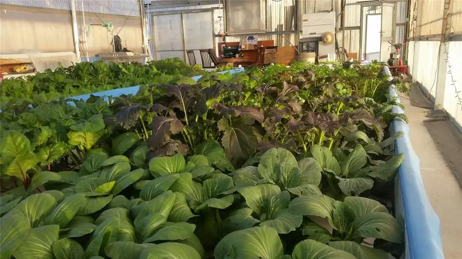 1501 E Tecumseh Road, Norman, OK 73071 - Image #3