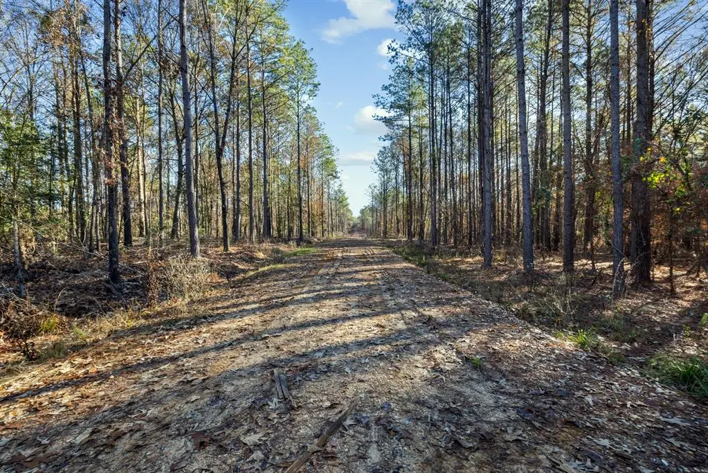 14 Big Pines, Broken Bow, OK 74728 - Image #1