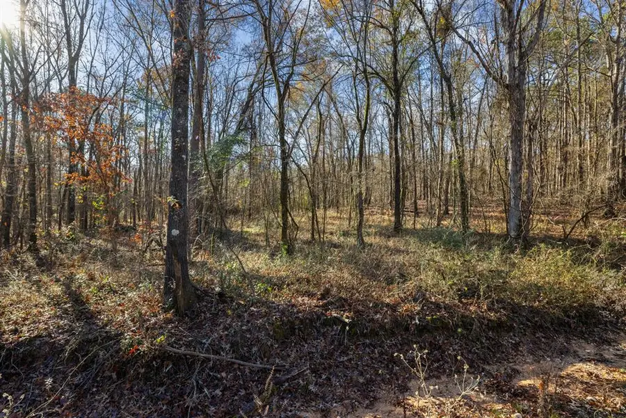 14 Big Pines, Broken Bow, OK 74728 - Image #2