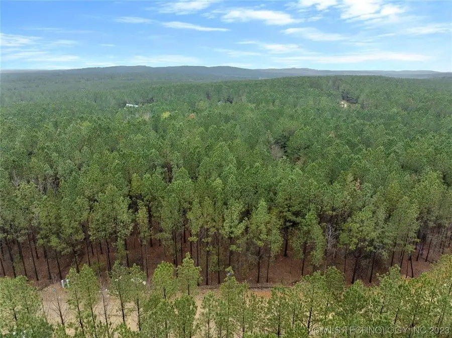 124 Hochadogwood Trail, Broken Bow, OK 74728 - Image #3