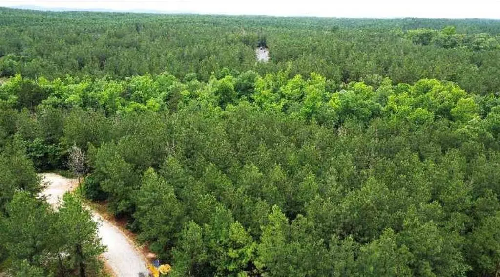 25 Cabins North Carter Creek, Broken Bow, OK 74728 - Image #1