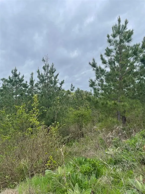187 Sliding Hill Trail, Broken Bow, OK 74728 - Image #2
