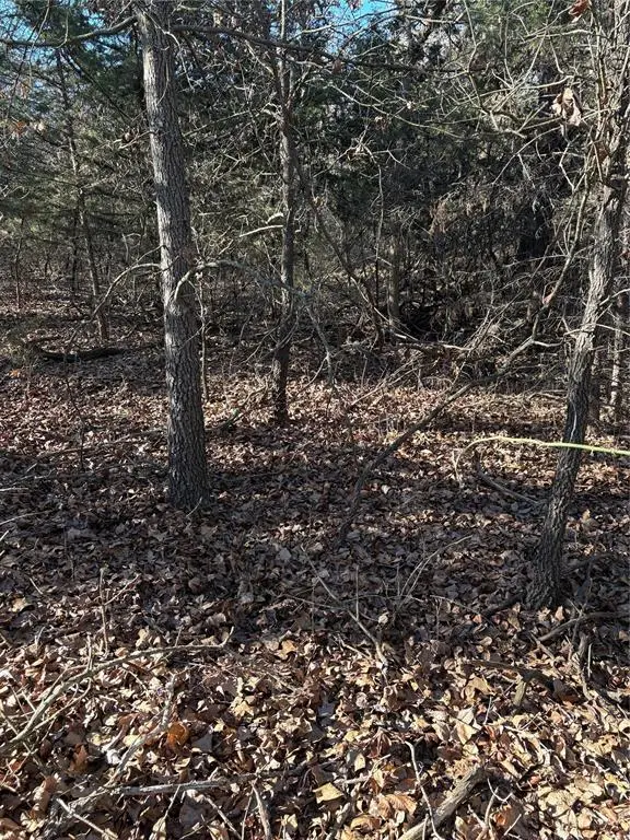 E 935 Road, Luther, OK 73054 - #3