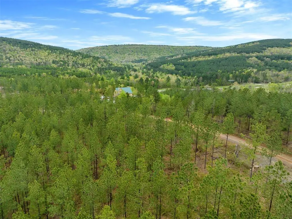 10 Three Waters, South Le Flore, OK 74957 - #1