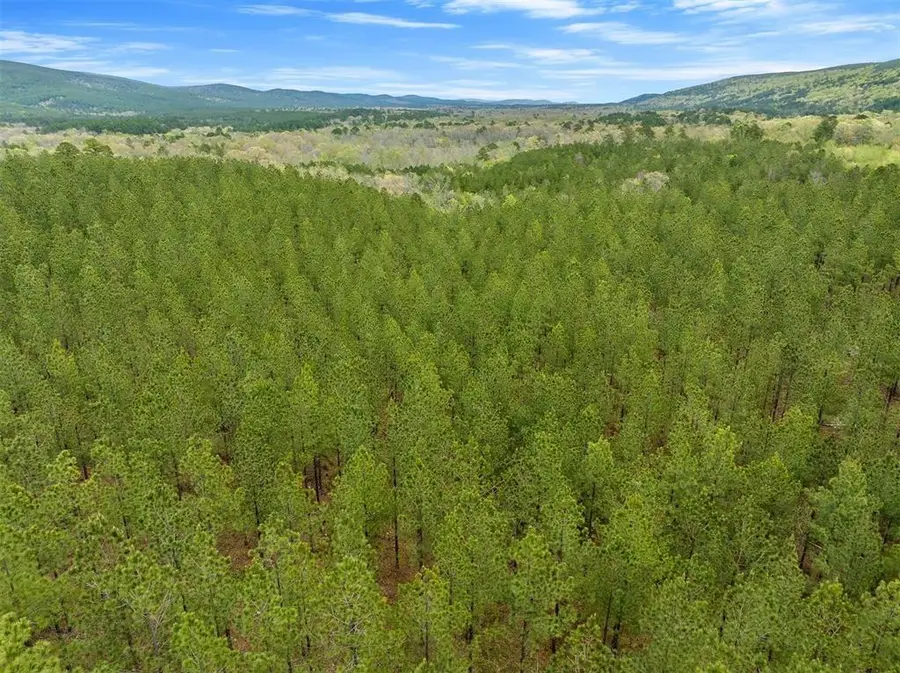 10 Three Waters, South Le Flore, OK 74957 - #3