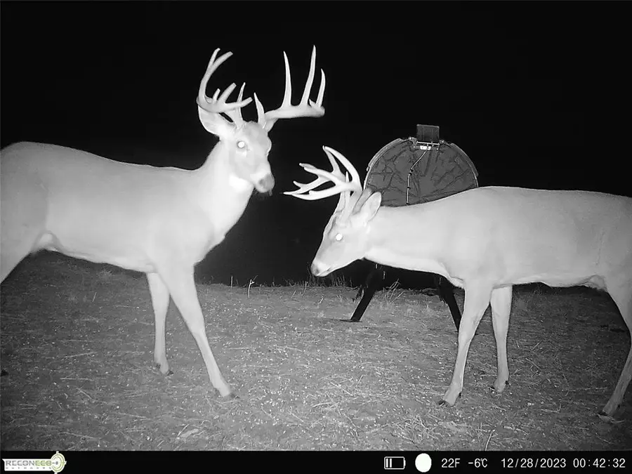 Mile 51 Road, Hooker, OK 73945 - Image #3