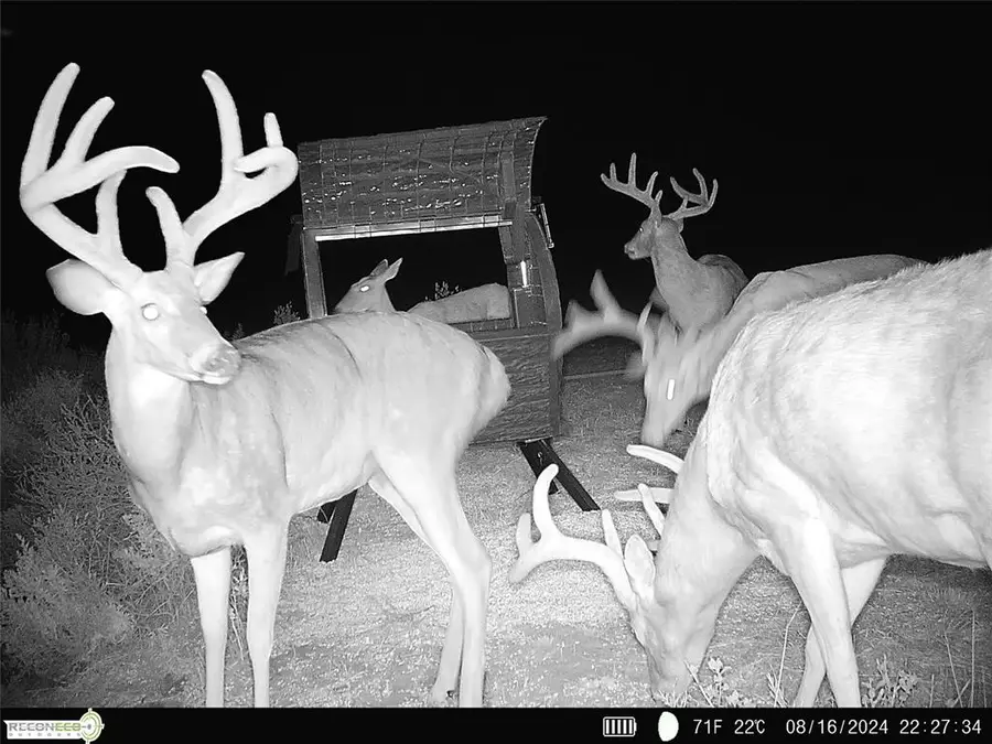 Mile 51 Road, Hooker, OK 73945 - Image #3