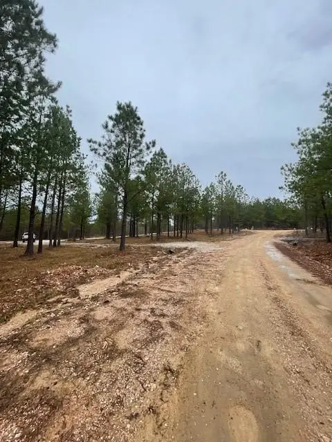 Top Notch Road, Broken Bow, OK 74728 - Image #2