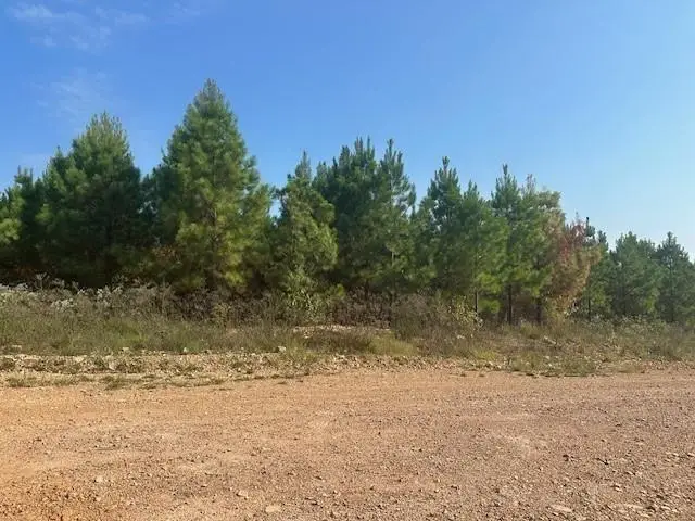 276 Legacy Vista Trail, Broken Bow, OK 74728 - Image #2