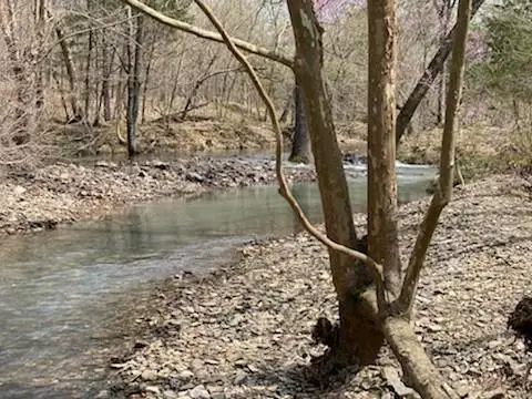 104 Cedar Bluff Trail, Broken Bow, OK 74728 - Image #1