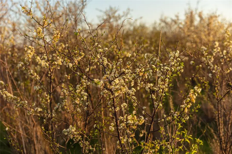 000 N 2620 Road, Walters, OK 73572 - Image #2