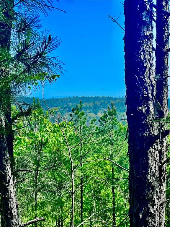 48 N Wild Cherry Place, Broken Bow, OK 74728 - Image #1