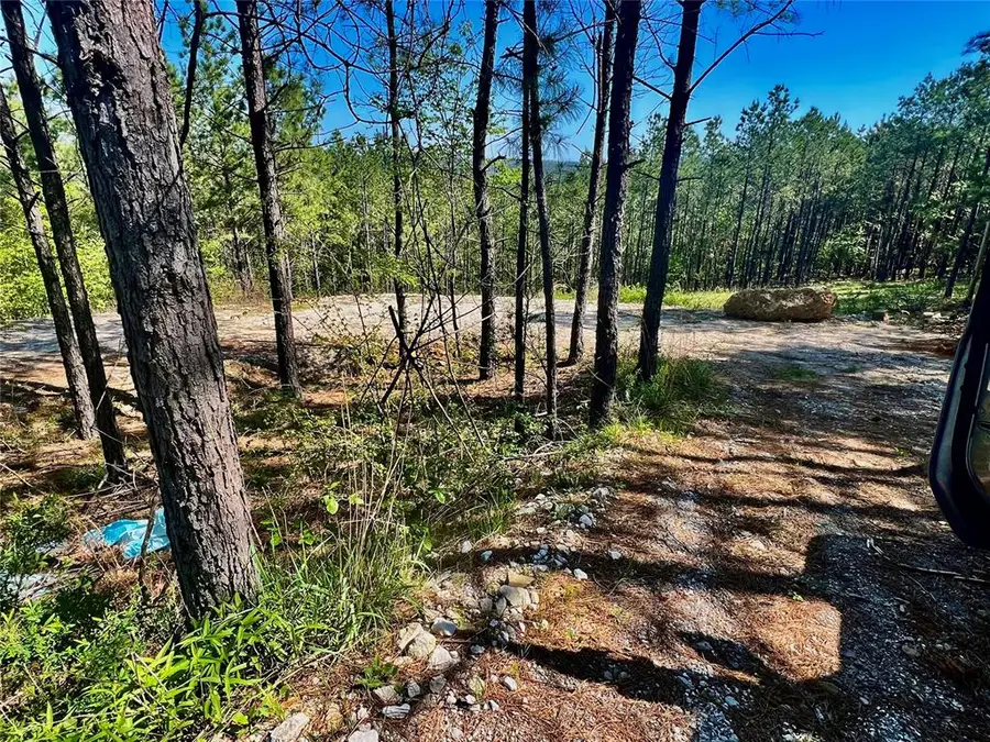 48 N Wild Cherry Place, Broken Bow, OK 74728 - Image #2