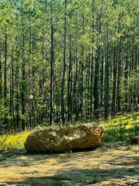 48 N Wild Cherry Place, Broken Bow, OK 74728 - Image #3