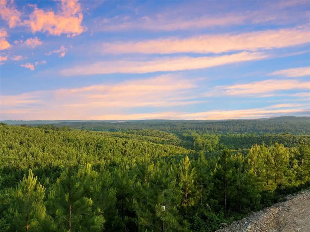 335 Monterey Oak Trail, Broken Bow, OK 74728 - Image #1