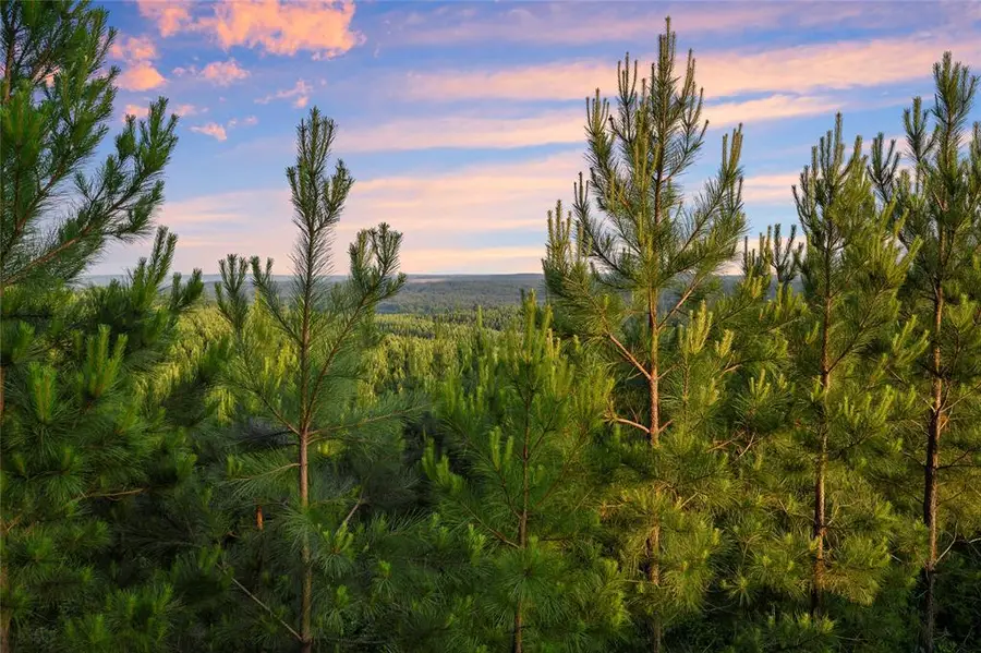 335 Monterey Oak Trail, Broken Bow, OK 74728 - Image #2