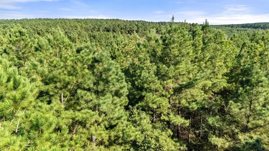 38 Oakley Trail, Broken Bow, OK 74728 - Image #3