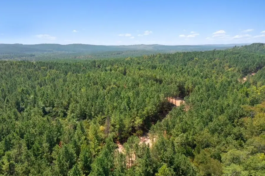 310 Kaisley Blue Eye Way, Broken Bow, OK 74728 - Image #3