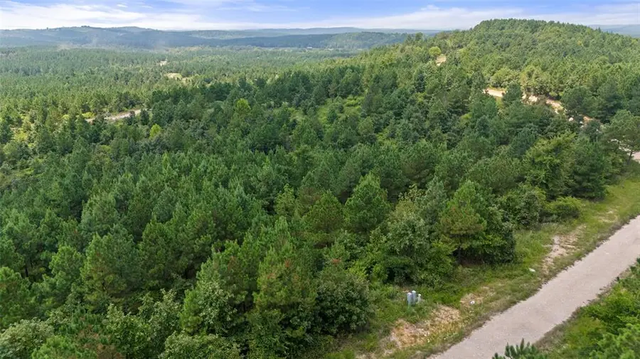 368 Kaisley Blue Eye Way, Broken Bow, OK 74728 - Image #3