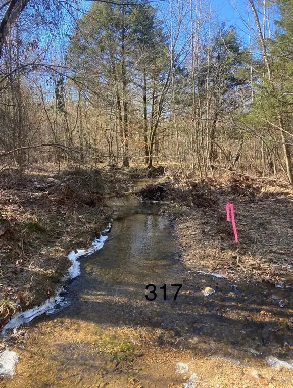 317 Marked Pine Lane, Broken Bow, OK 74728 - Image #1