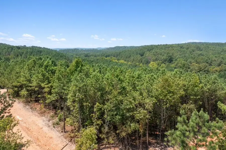 317 Marked Pine Lane, Broken Bow, OK 74728 - Image #2