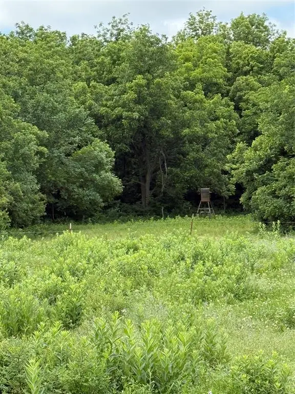 7701 N Brush Creek Road, Glencoe, OK 74032 - Image #2