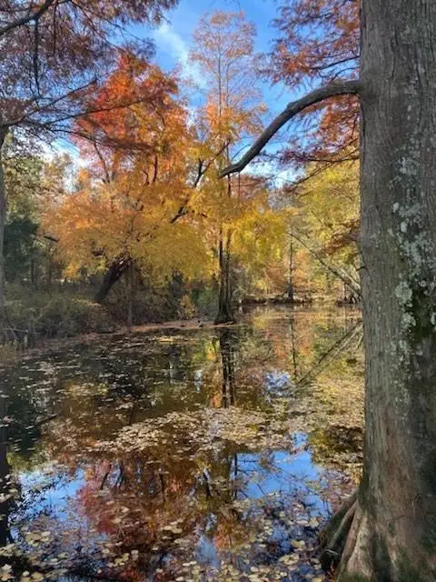 18792 W State Highway 3 Highway, Idabel, OK 74745 - Image #3