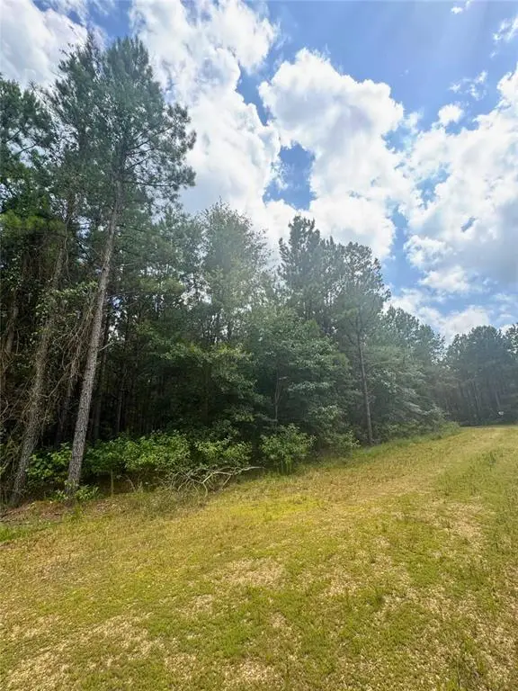 96 Hochapine Trail, Broken Bow, OK 74728 - Image #2