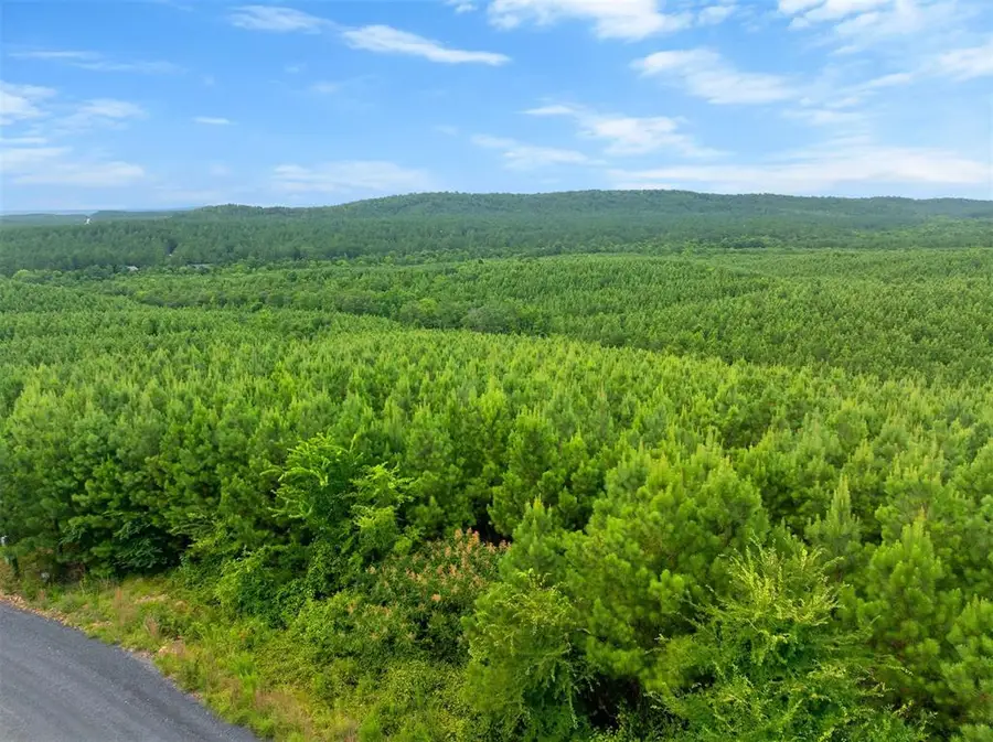 234 Sierra Vista Trail, Broken Bow, OK 74728 - Image #2