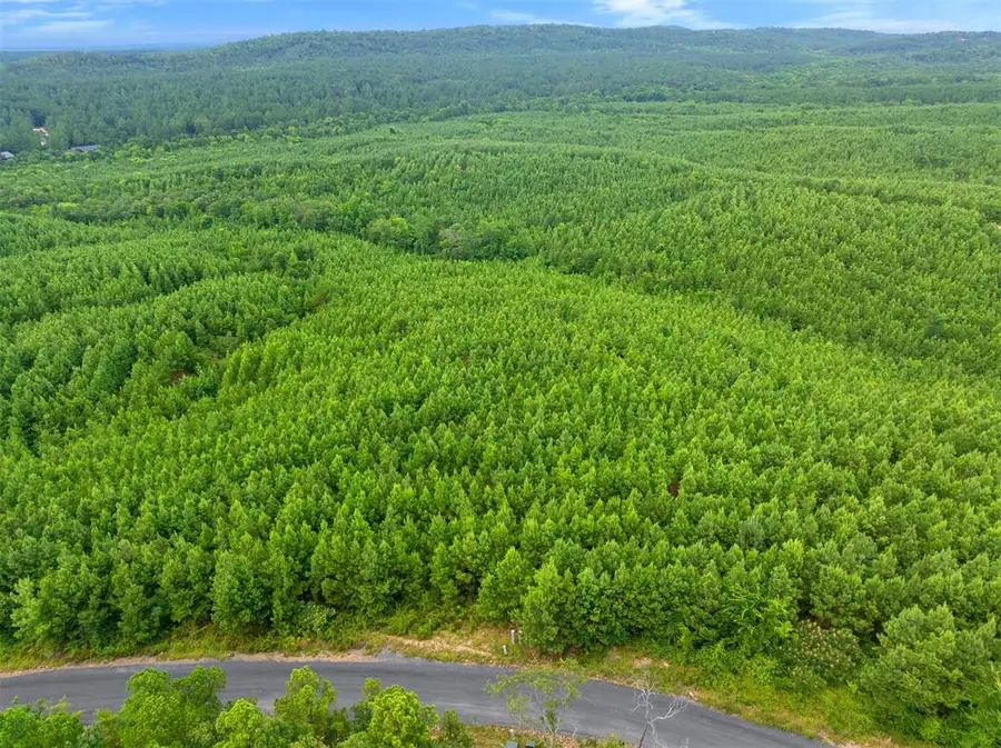 234 Sierra Vista Trail, Broken Bow, OK 74728 - Image #3