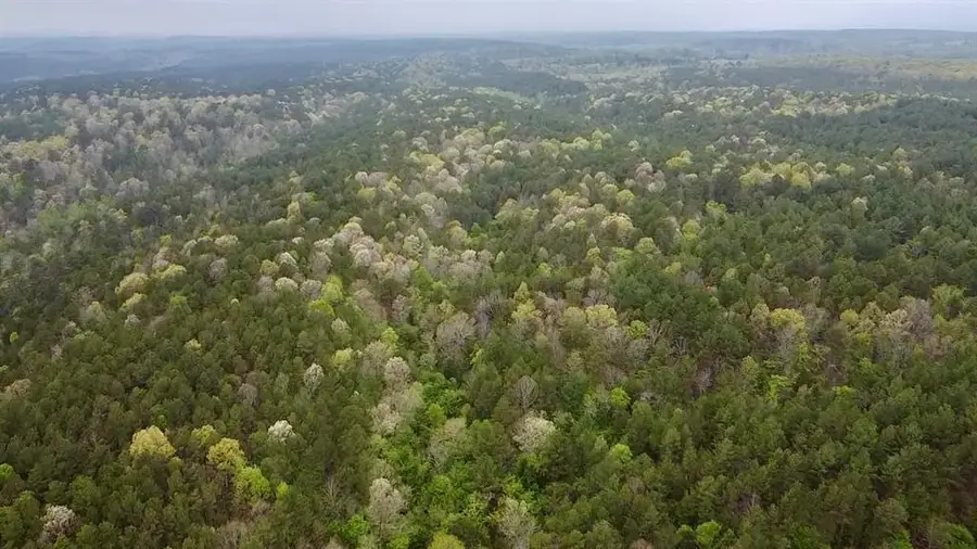 40 Trout Creek Road, Watson, OK 74963 - Image #2