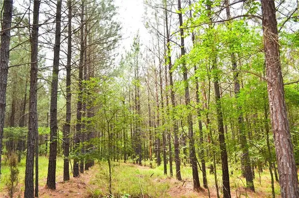 199 Aged Acacia Trail, Broken Bow, OK 74728