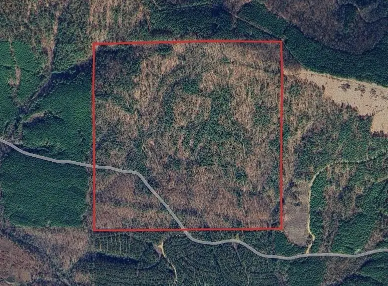 000 Marsh Loop, Smithville, OK 74957 - Image #2