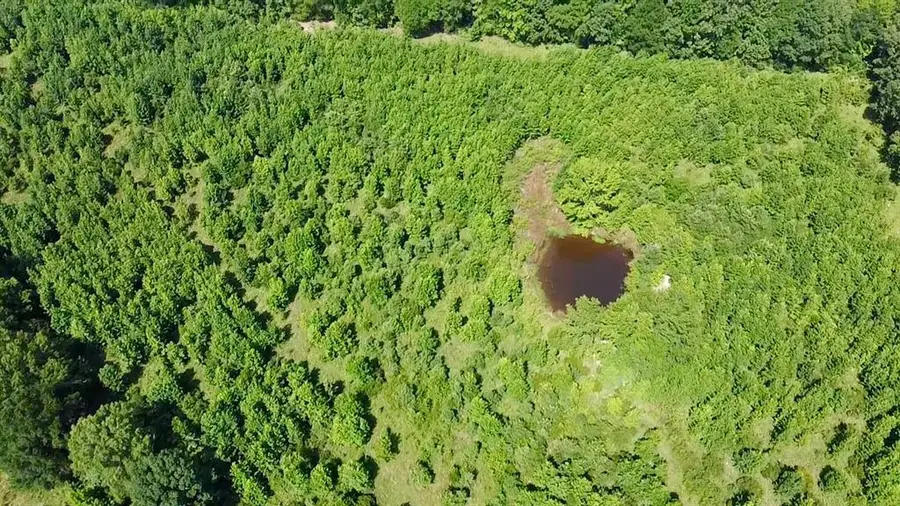 80 Sand Road, Haworth, OK 74740 - Image #2