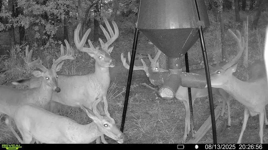 165008 N 3010 Rd, Foster, OK 73434 - Image #2