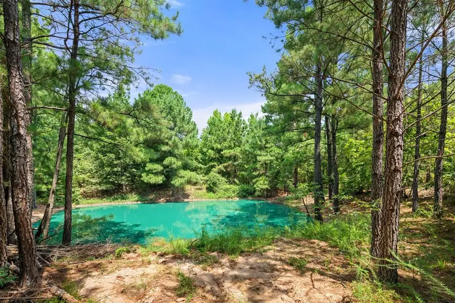 415 White Ash Lane, Broken Bow, OK 74728 - Image #3