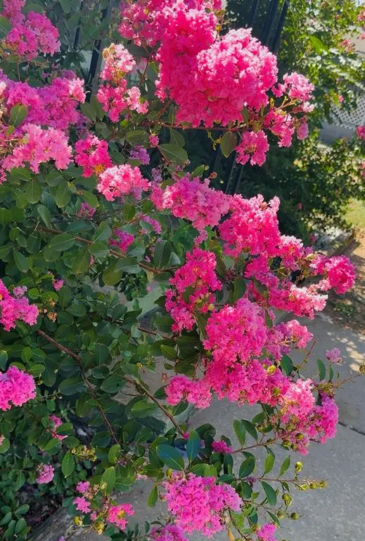 207 S 6th Street, Verden, OK 73092 - Image #3