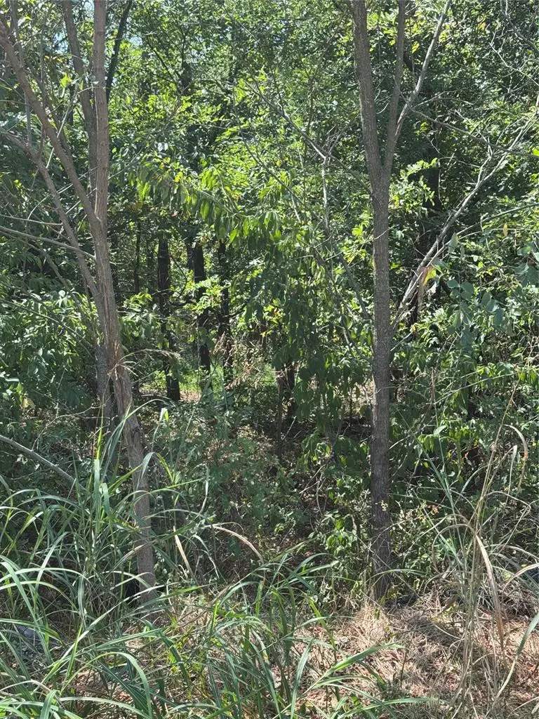 Sw 6th Street, Luther, OK 73054 - Image #3