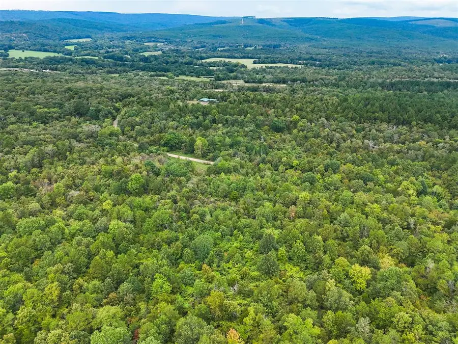 434351 E 1760 Road, Snow, OK 74567 - Image #3