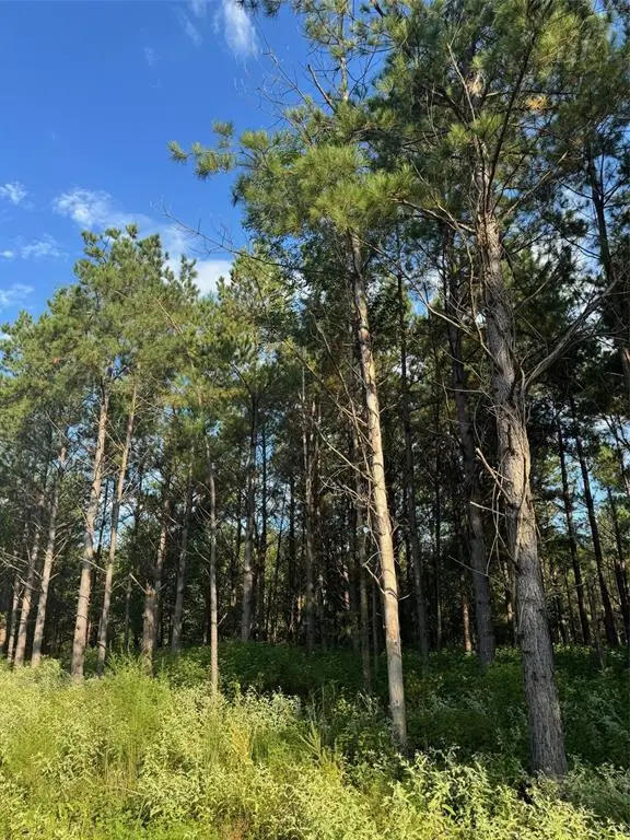 245 Green Mallard Trail, Broken Bow, OK 74728 - #2