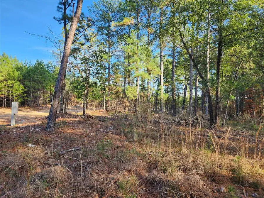 216 Brittains Branch, Broken Bow, OK 74728 - Image #2