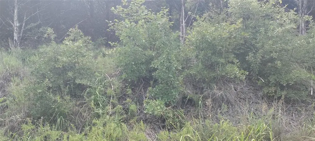 1 Rainbow Street, Minco, OK 73059 - Image #1